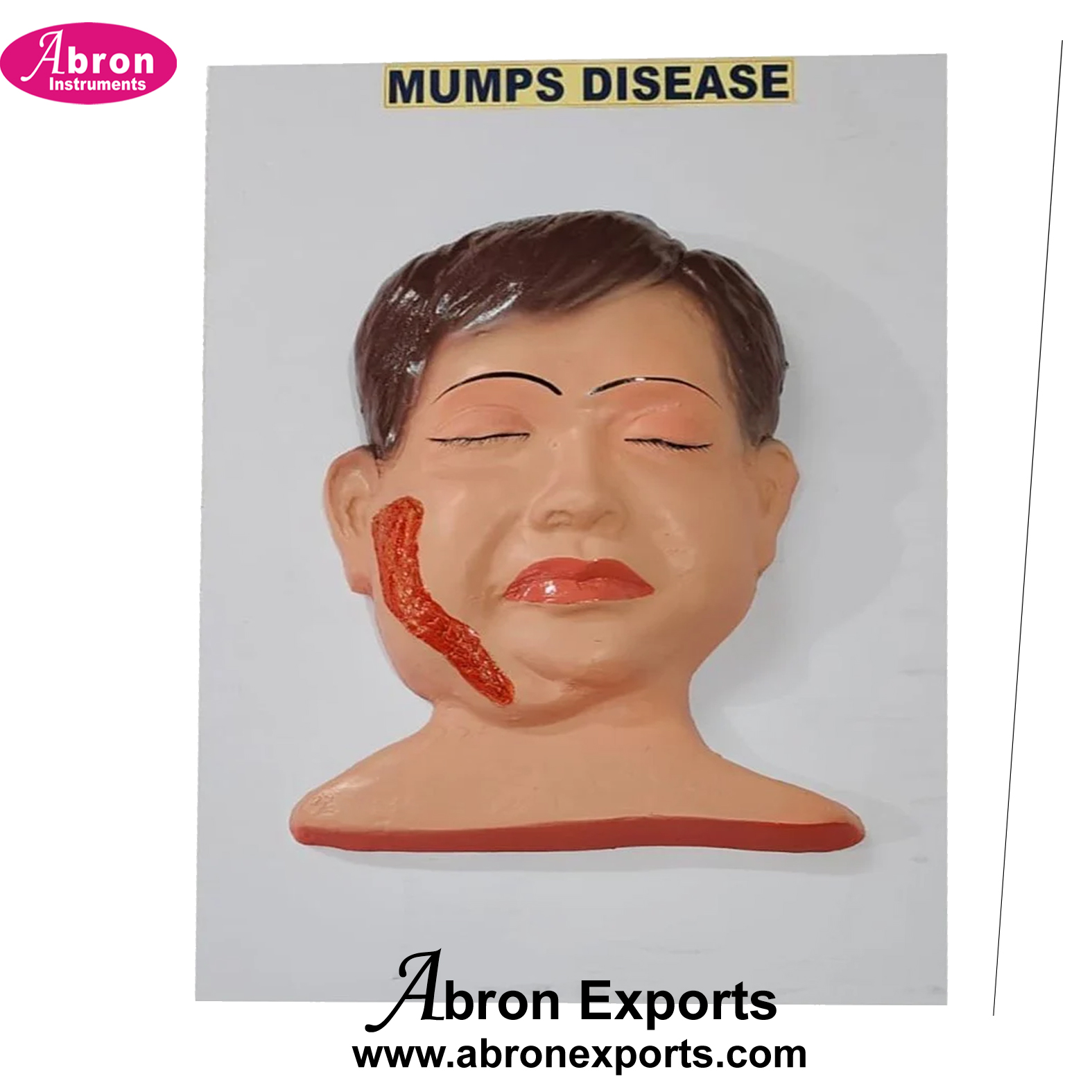 Community Medical Diseases Models Human Mumms on Board Big Size Abron